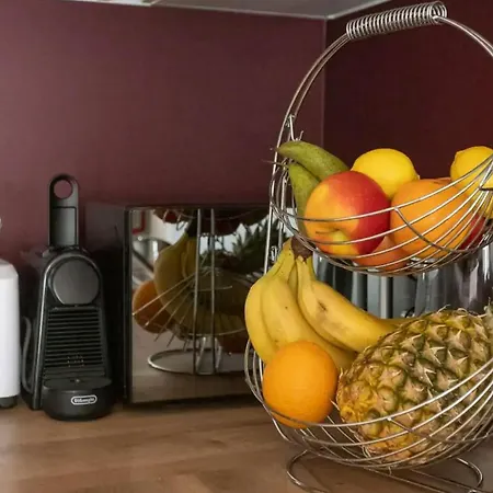 Palackeho Elegantni Domov V Srdci Noveho Mesta Apartmán *